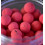 Бойли поп ап Dynamite Baits Ian Russell Sweet Spice Pop-Ups