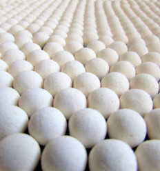 Амино поп ап one-flavor GARLIC (ЧЕСНОК) Ø10 мм 15 шт