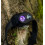 Налобный фонарь Ridge Monkey VRH300X Pro USB Rechargeable Headtorch 200 lm