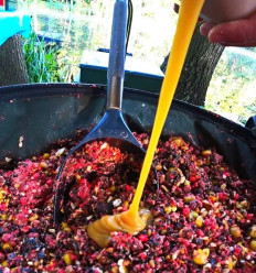 Кукурудзяний Екстракт CarpZone CSL Corn Steep Liquor