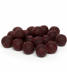 Бойли прикормочні варені Trinity Baits Amino Squid-Cranberry 1 кг