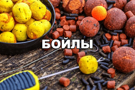 Бойлы на карпа