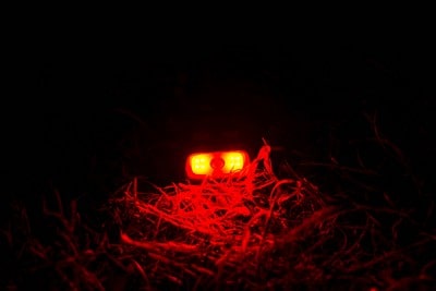 FOX Halo Multi-colour Headtorch