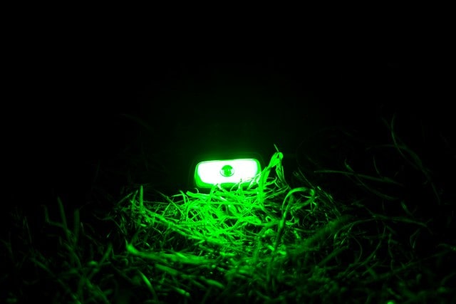 FOX Halo Multi-colour Headtorch
